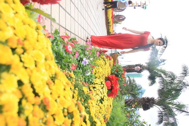 Bạn trẻ hào hứng, tạo dáng bên đường hoa Đà Nẵng - ảnh 10